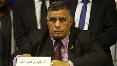 «وهب الله»: تظاهرات اليوم لإثارة الفوضى