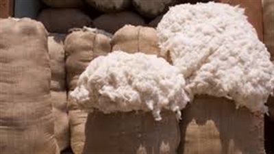 المفوض العام: دخول القطن المستورد للسوق سبب لانهيار القطن المصري