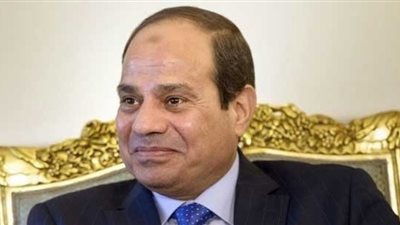 السيسي يبحث تعزيز الاستثمار مع كبرى الشركات الفرنسية