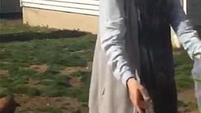 كلب يتناول فراشة بعد تحريرها بثوانٍ (فيديو وصور)