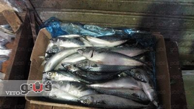 بالصور.. ارتفاع أسعار الأسماك في سوق العتبة