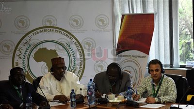 «شباب بتحب مصر» تشارك في الجلسات التحضيرية للبرلمان الأفريقي