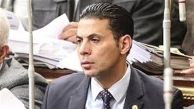 حساسين يقاضي محافظ الفيوم بعد إزالة مزرعته: «مديونة بمليون جنيه»