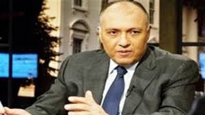 القضايا العربية والأفريقية على قائمة أولويات وزير الخارجية الجديد.. هدى راغب: لا بد من حسم أزمة سد النهضة وثلاثة ملفات شائكة تواجه شكري.. السيد عليوة: سوريا والعراق يشكلان خطرًا على مصر