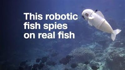 «صوفي» أول سمكة آلية لدراسة الحياة البحرية (فيديو)