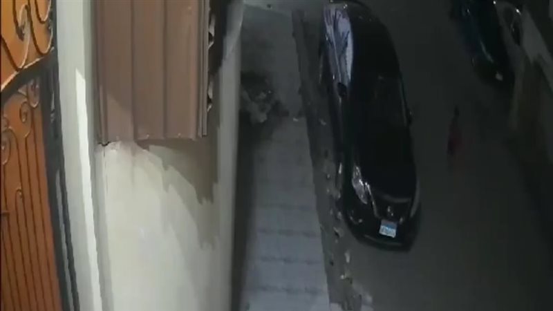 كاميرات المراقبة