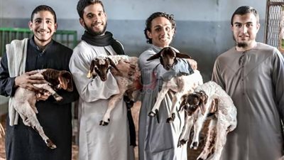 حفل تخرج زراعة المنيا بـ«الجلابية والفستان الفلاحي» (صور)