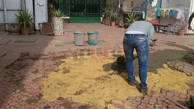 «تربية نوعية القاهرة» تبدأ المعسكر الصيفي (صور)