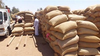 توريد 522.35 ألف طن قمح لشون وصوامع الشرقية