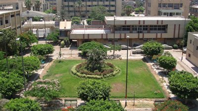 زراعة الزقازيق تحتفل بإنتاج أصناف من الأرز مقاومة للجفاف والملوحة..غدا