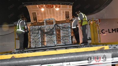 بالصور.. تفاصيل مشروع الكتاكيت في أسوان