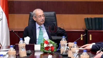 تفاصيل إستراتيجية الحكومة للحد من الزيادة السكانية