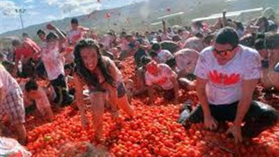 أغرب المهرجانات في العالم.. انطلاق «ماج ميلا» بحرق روث الأبقار واستنشاقها.. حرب الطماطم في إسبانيا.. جمع الفضلات في أمريكا.. قذف البرتقال بإيطاليا.. و«الجبنة المتدحرجة» الأشهر