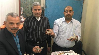 إحباط محاولتين لتهريب الحشيش وخيار البحر بمطار القاهرة (صور)