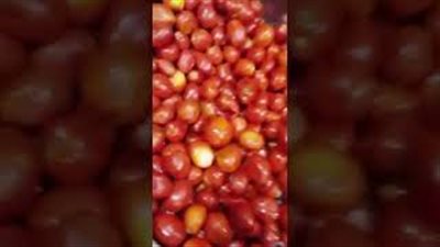 مقطع فيديو يتسبب في إغلاق مطعم «كشري» بالسعودية