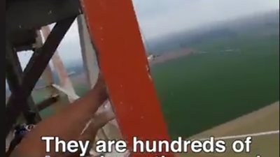 متهوران يقفزان من أعلى برج كهرباء (فيديو)