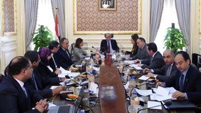 مصير الحكومة بعد الانتخابات الرئاسية.. أبو شقة: عليها الاستقالة بعد تسمية الرئيس الجديد مباشرة.. فوزي: لا يوجد التزام دستوري بذلك والمواءمة السياسة تحكم الأمر