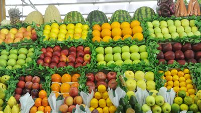 الحكومة الروسية ترفع الحظر عن الواردات التركية