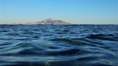 اتحاد حماية الحياة البحرية: مياه المحيطات لا تقل أهميتها عن العذبة