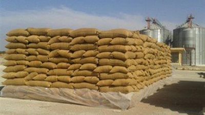 توريد 144 ألف طن قمح إلى صوامع قنا