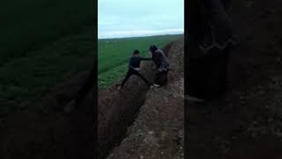 بالفيديو.. شاب يتسبب في سقوط مروع لوالدته