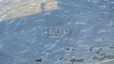 البيئة: مكافحة بقعة سولار في ميناء الإسكندرية