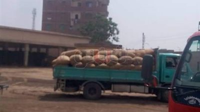 بلد «المليون ريشة» تواجه تحديات تهدد الثروة الداجنة (صور)