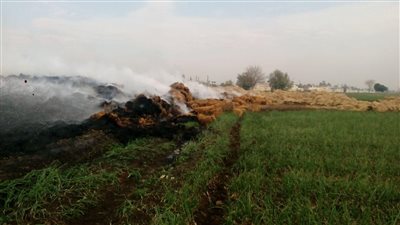 البيئة تتابع حريق قش الأرز بالقليوبية