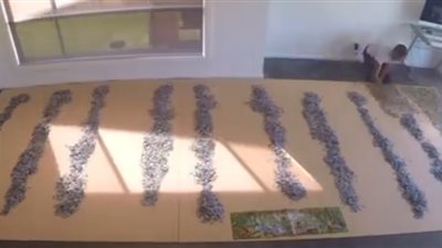 رجل يحل «بازل» مكونا من 33 ألف قطعة (فيديو)