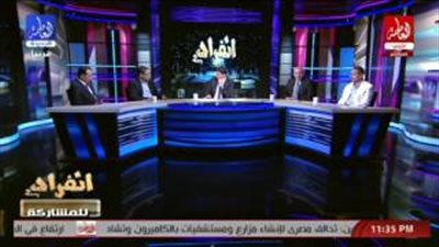 «أبو حامد»: استقالة وزير التموين إقرار بالمسئولية السياسية