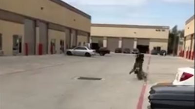 نهاية مروعة لفتاة تقود دراجة نارية (فيديو)