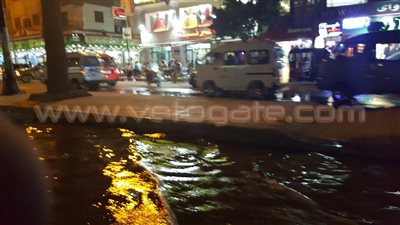 بالصور.. غرق البيطاش في الصرف الصحي بالإسكندرية