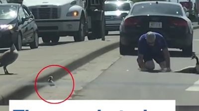 ذكر «وز» يهاجم رجلا دافعا عن عائلته (فيديو)