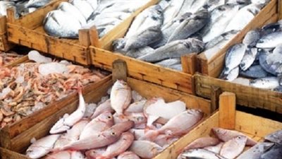 استقرار أسعار اللحوم والأسماك بالأسواق