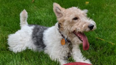 «جوجل صور» يتيح لمستخدميه عمل «لايك» للصور والفيديوهات