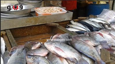 بالفيديو.. البلطي يسجل 23 جنيهًا بالأسواق