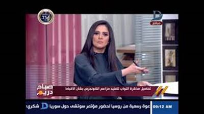 حقوق الإنسان: الأقباط ليسوا أقلية بالدولة المصرية (فيديو)