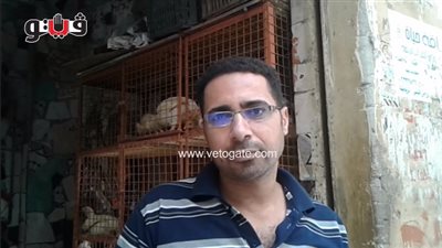 بالفيديو.. ارتفاع أسعار الدواجن والأبيض يسجل 28 جنيها بالأسواق