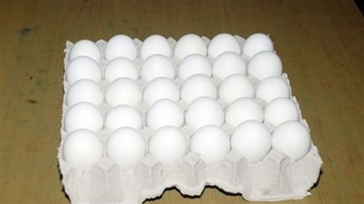 38 جنيها سعر كرتونة البيض بالمزارع.. اليوم
