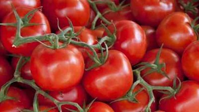 تباين أسعار الخضراوات بسوق العبور.. والطماطم تسجل 3 جنيهات