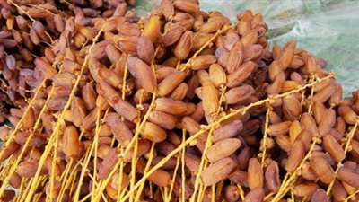 تعرف على أصناف التمور المصرية المقرر تصديرها للصين