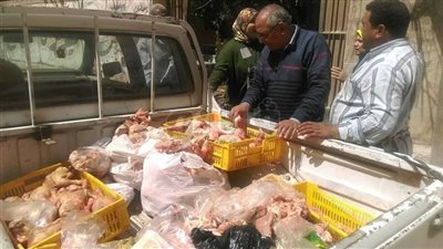 ضبط أوراك وشيش طاووق دواجن فاسدة بالمعصرة (صور)