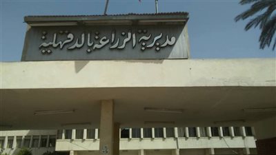 المصالح الحكومية بالدقهلية تذيع أغاني للحث على المشاركة الانتخابية