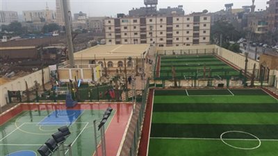 إزالة 5 نخلات من أمام مركز شباب الجمالية لخطورتها على المارة