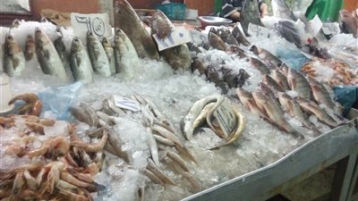 بالصور.. ارتفاع أسعار الأسماك في سوق العتبة