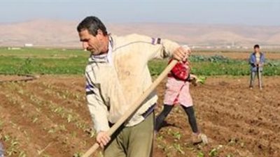 خبير مناخ زراعي: نسبة بخر المياه في الصعيد 17%