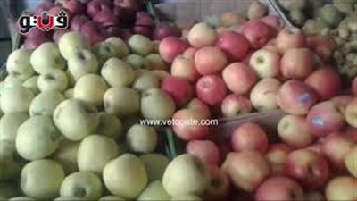 بالفيديو.. استقرار أسعار الخضار والفاكهة اليوم بالأسواق