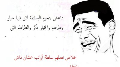 ساخرون.. سلطة أرانب عشان داعش!!