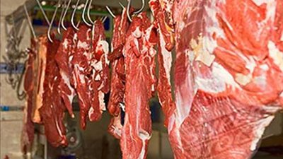 طرح لحوم بلدى ومجمدة بـ38 جنيها للكيلو بقرى ونجوع أسيوط