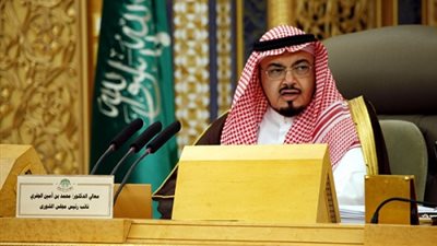 نائب رئيس مجلس الشورى السعودي يؤكد متانة العلاقات بين القاهرة والرياض